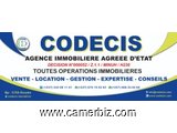 CODECIS IMMOBILIER: agenge de Douala - 25148
