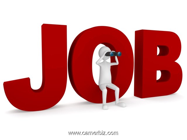 Recrutement formateurs Autocad Architecture  3D et Onteur audiovisuel à  Douala - 26493