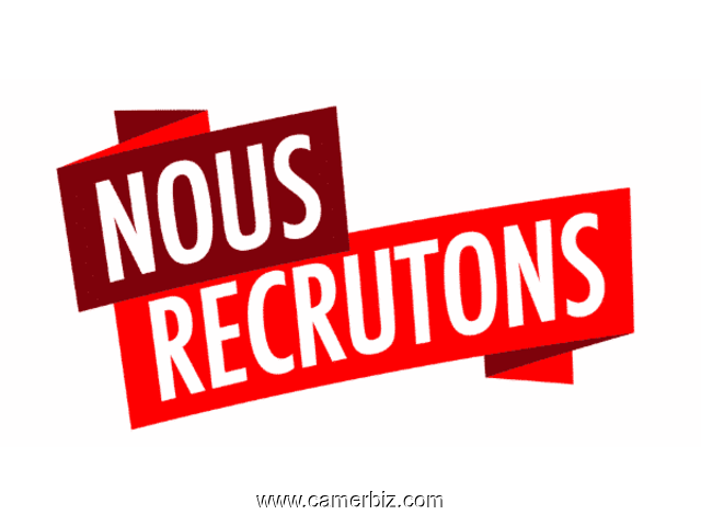 offre d'emploi à yaoundé - 26834