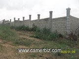 Terrain titré de 624m²  à vendre stade Japoma