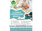 Clinique vétérinaire mobile - 28815