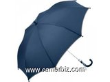Parapluie de plusieurs types  - 2900