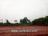 terrain a vendre a NKOUABANG 1000m² 