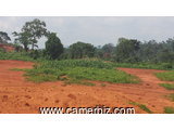 terrain a vendre a olembe derriere 500m²;1000m²;2000m²;1ha - 2920