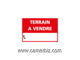 TERRAIN TITREET LOTI A VENDRE DERRIERE NSIMALEN - 30186