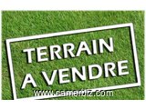 liste de nos terrains titres à vendre à yaoundé tels : 673609444/699501886/656359105  - 3114