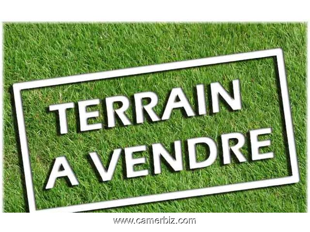 terrain titré a vendre à yaoundé golf bastos - 3115