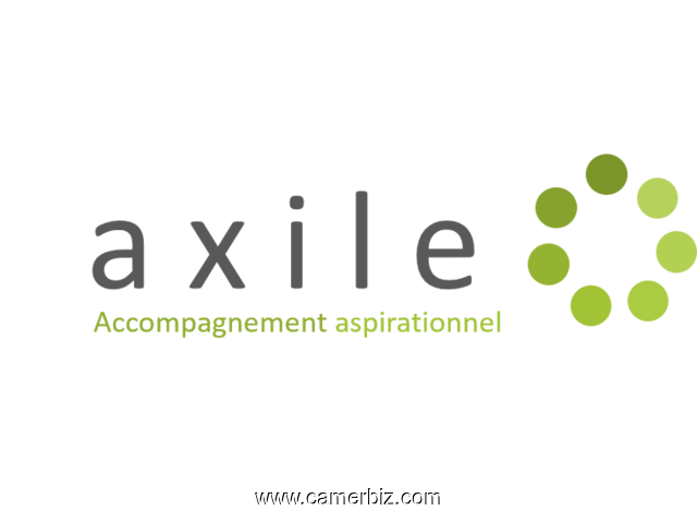 AXILE France offre d'emploi  - 3132