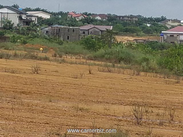 Vente de terrain bien placer à la cité Sade zone de la cité Chirac  - 3191