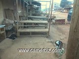 TERRAIN EMPLACEMENT COMMERCIAL PREMIER CHOIX, MARCHE B - VILLE DE DSCHANG - 32683