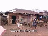 TERRAIN EMPLACEMENT COMMERCIAL PREMIER CHOIX, MARCHE B - VILLE DE DSCHANG - 32683