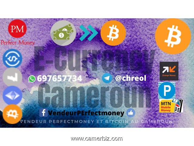 Chreol Empire Carte cadeau Monnaie Digitale Service en lgne Paypal Bitcoin UBA CAMEROUN - 32875
