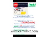 YANGO TAXI SERVICE 