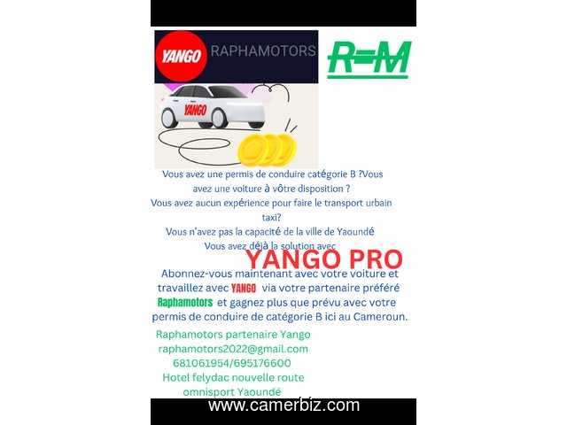 YANGO TAXI SERVICE  - 33105