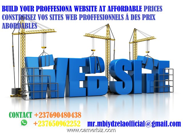 Professional and affordable websites in cameroon - 3315