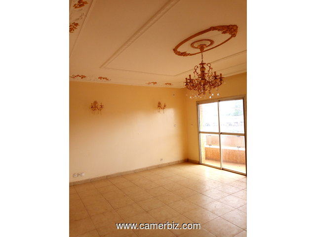 APPARTEMENT A LOUER A MVOG-ADA  (caveau) - 3327