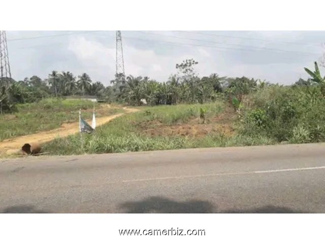 Terrain agricole plus de 500 hectares (NON TITRÉ) à vendre dans la Sanaga-Maritime  - 33577