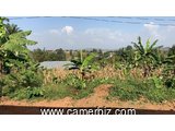 Well situated 1700m² land in Mbengwi at Njembeng for Sale. Genuine Land Title  - 33611