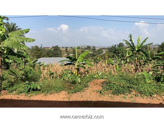 Well situated 1700m² land in Mbengwi at Njembeng for Sale. Genuine Land Title  - 33611