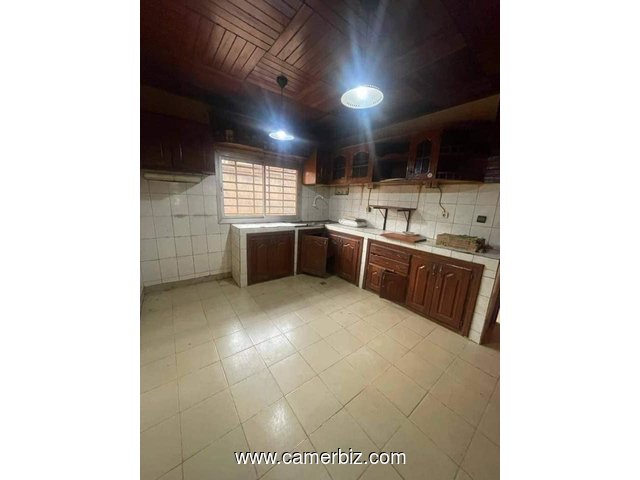 Grande villa avec clim, parking à Nkolmesseng. 4 chambres 4 douches, 2 salons, magasin - 33956