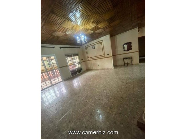 Grande villa avec clim, parking à Nkolmesseng. 4 chambres 4 douches, 2 salons, magasin - 33956