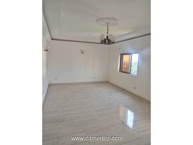 Appartement et Studio pour bureaux avec eau chaude gardien parking à Bastos - 34247