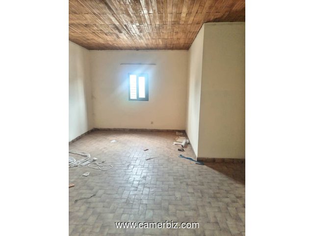 Studio pour bureaux avec parking à Essos bordure de route principale - 34248