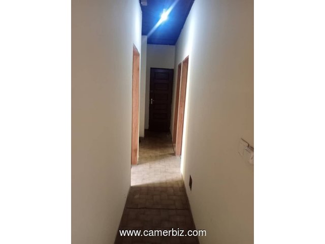Studio pour bureaux avec parking à Essos bordure de route principale - 34248