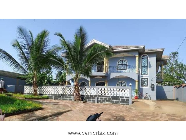 Magnifique duplex meuble sur 1200m2 à Nkoabang entré itambe - 34276