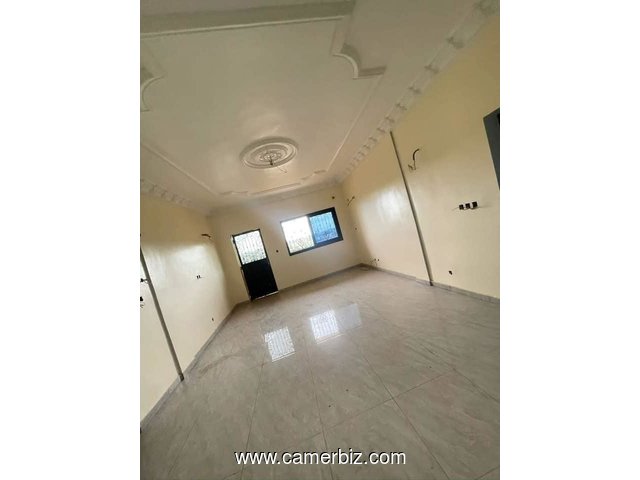 Magnifique Appartement spacieux neuf à Ngousso  - 34278