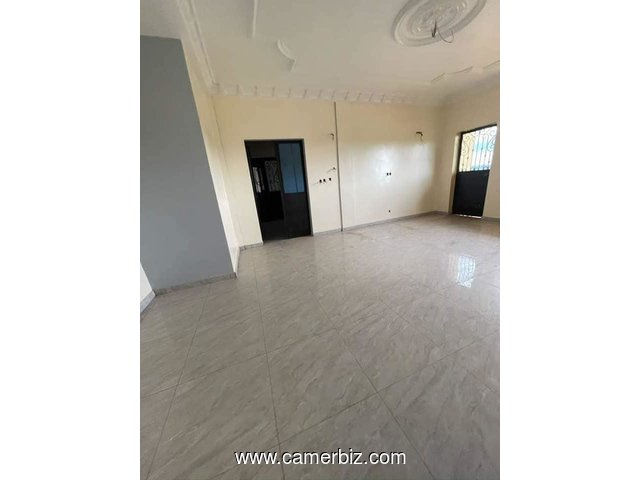 Magnifique Appartement spacieux neuf à Ngousso  - 34278