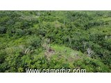 Vente terrain  - 34285