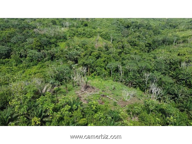 Vente terrain  - 34285