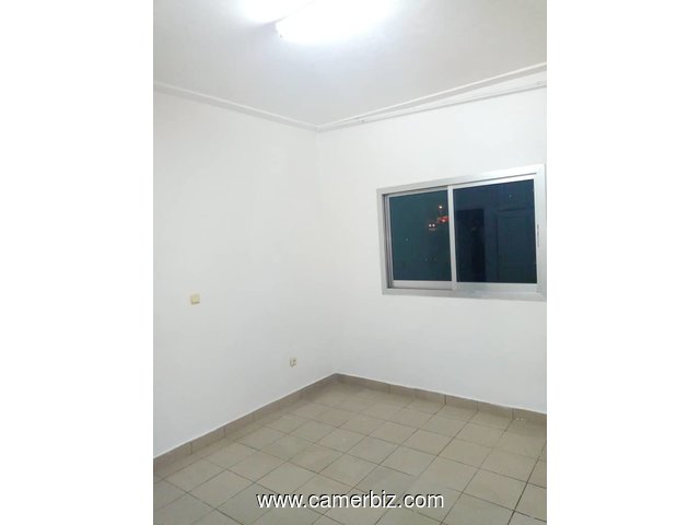 appartement 02 chambres a louer biyem-assi - 3429