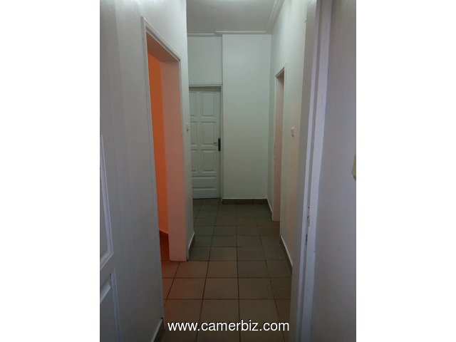 appartement 02 chambres a louer biyem-assi - 3429