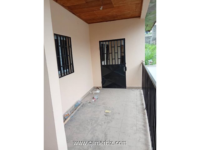 Appartement neuf avec parking forage à Nsam Obam. 2 chambres 1 douches - 34312