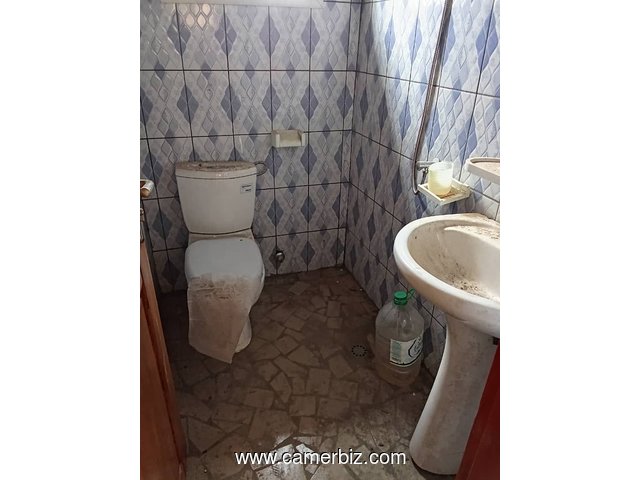 Appartement neuf avec parking forage à Nsam Obam. 2 chambres 1 douches - 34312