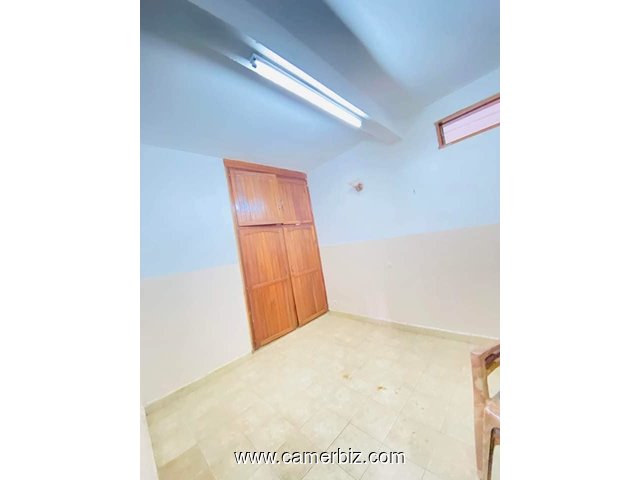 Appartement à louer à Santa barbara - 34321