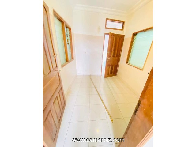 Appartement à louer à Santa barbara - 34321