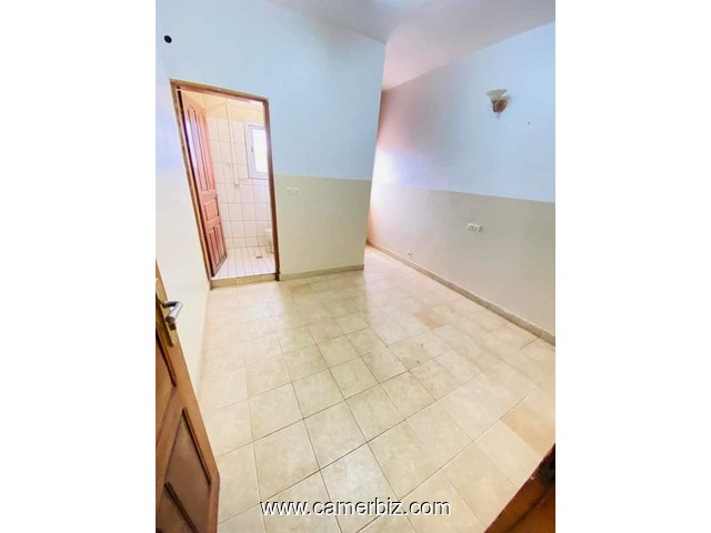 Appartement à louer à Santa barbara - 34321