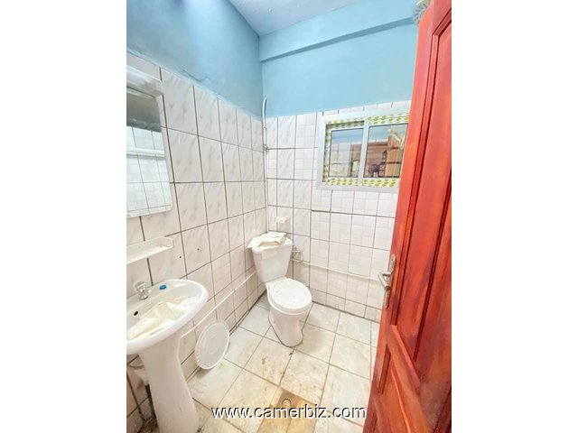 Appartement à louer à Olembe - 34335