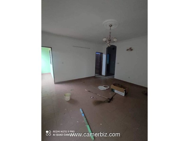 Appartement à louer à Biteng  - 34344