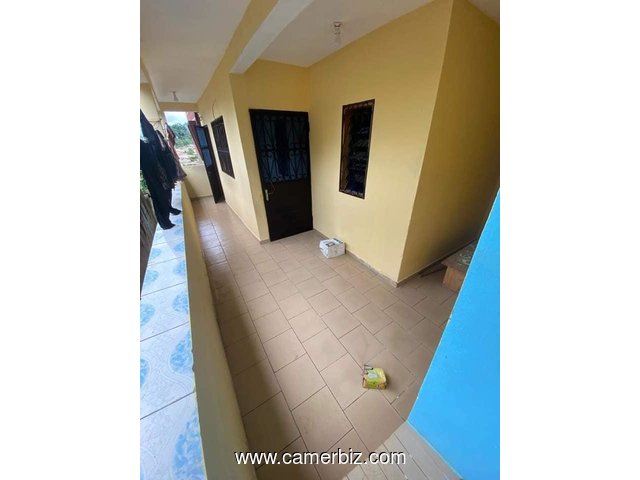 Appartement spacieux  à Mendong.  2 chambres 1 douche - 34364