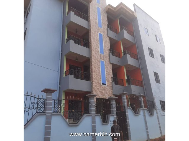 Appartement et Studio neuf à louer à Nkoabang avec parking gardien - 34371