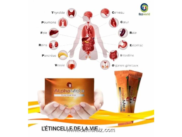 ALPHAMETA NOURRITURE POUR TA CELLULE  - 34400