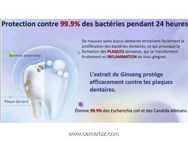 DENTIFRICE EZENO AU GINSENG ET À L ARBRE DE THÉ  - 34415