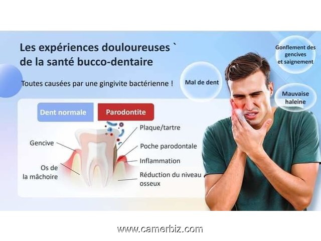 DENTIFRICE EZENO AU GINSENG ET À L ARBRE DE THÉ  - 34415