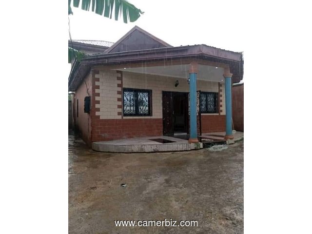 Jolie villa titrée à vendre à Mbankolo avec piscine parking - 34431