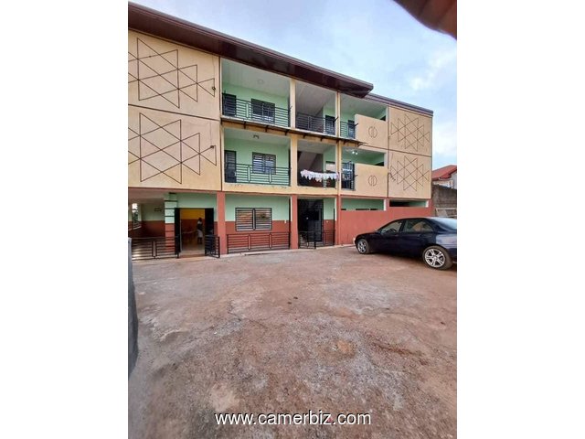 Bel Appartement neuf à louer à Nkolfoulou avec gardien forage parking - 34491