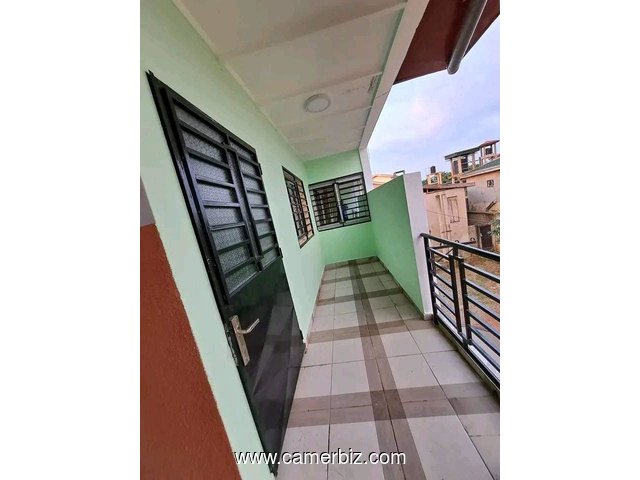 Bel Appartement neuf à louer à Nkolfoulou avec gardien forage parking - 34492